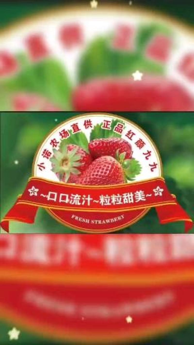 红颜九九草莓，品质保证，价格美丽，欢迎来电咨询。