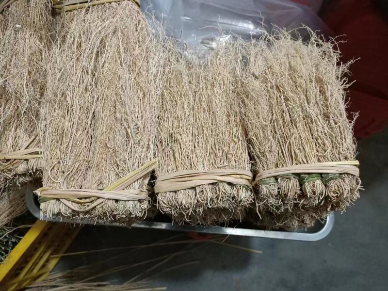 养肝草包邮支持一件代发一梱10小扎长期供应一手货源量大从