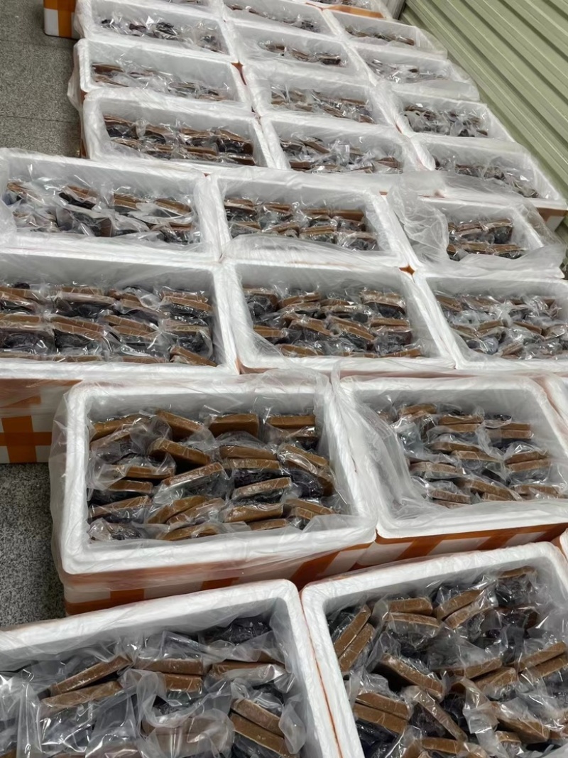 南非溏心即食鲍鱼，干鲍所致，加热即食，溏心鲍鱼