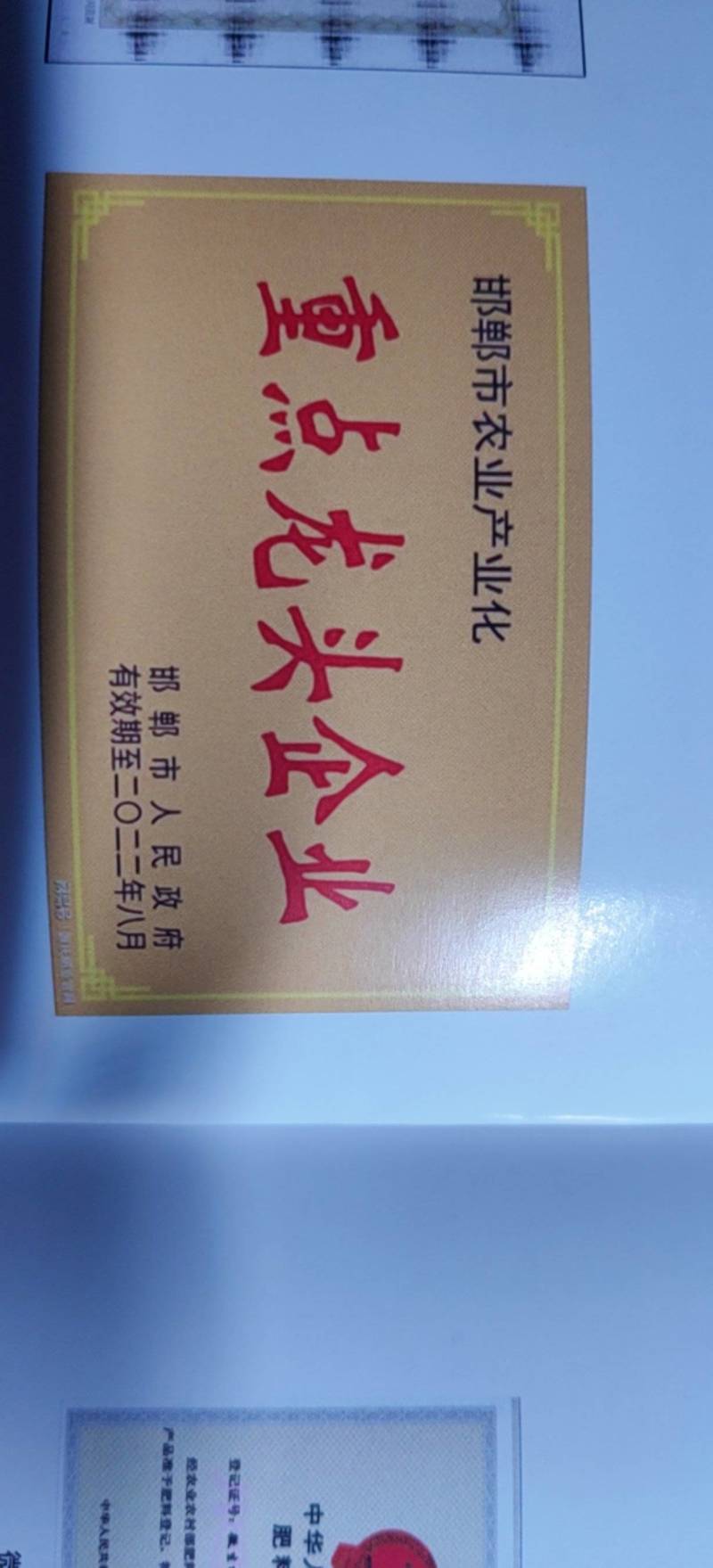 生物有机菌肥，活化土壤，防止土壤板结，生根护根，防死棵。