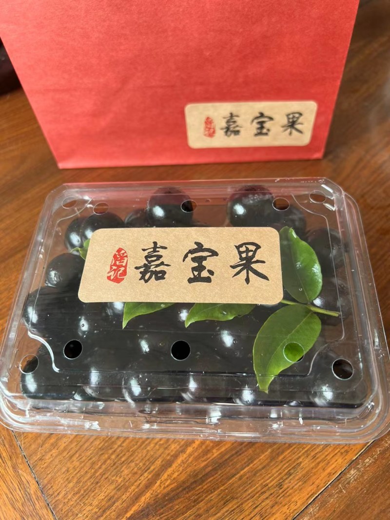 高品质精选老树嘉宝果（树葡萄）
