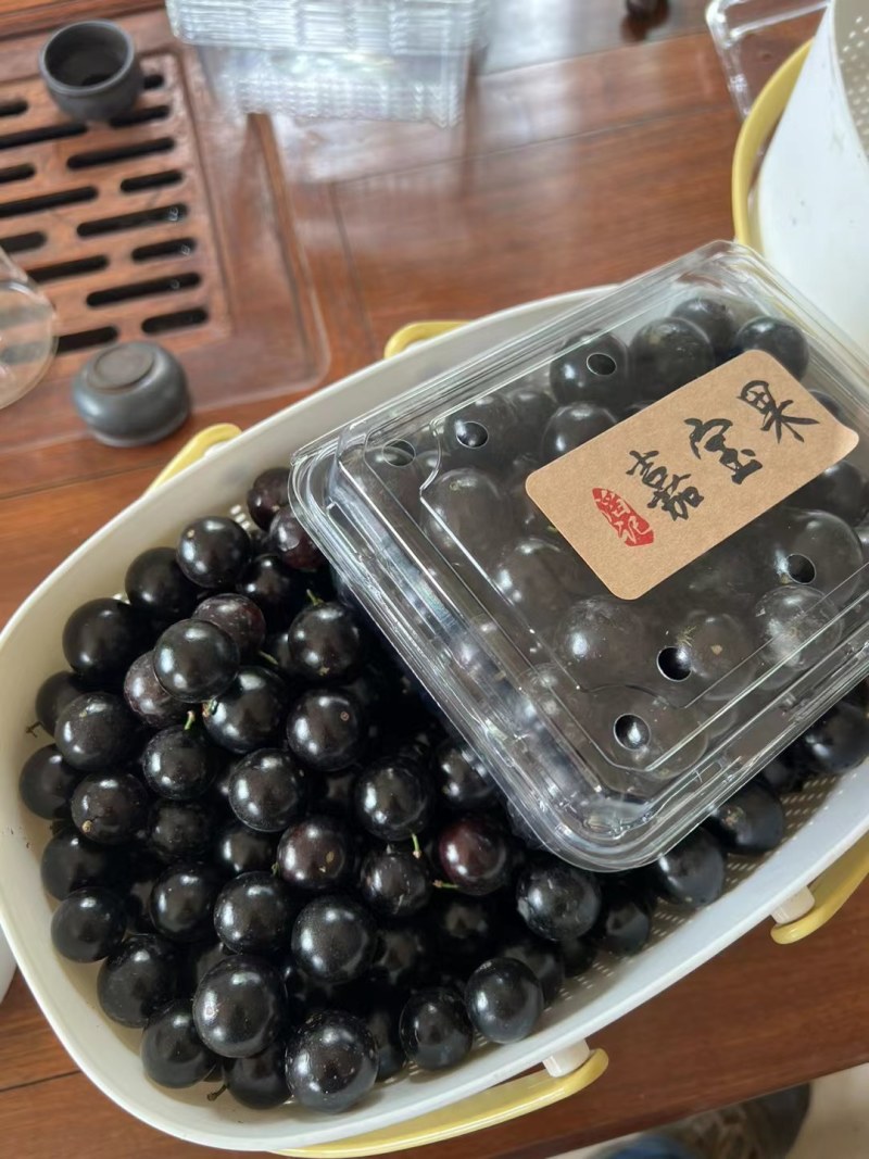 高品质精选老树嘉宝果（树葡萄）