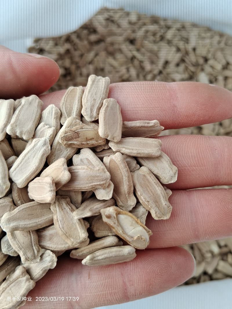 嫁接西瓜甜瓜专用葫芦籽砧木根系好抗病耐寒亲和性强葫芦种子