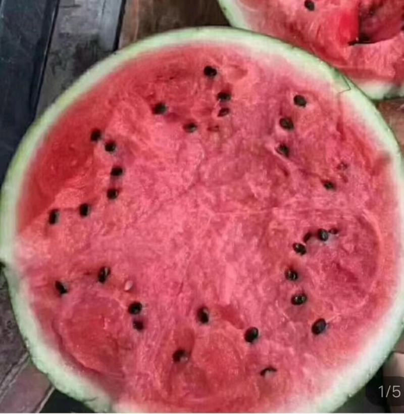 精品哦，，，西瓜上市了哦有需要的搞快点定哦，，，，，，