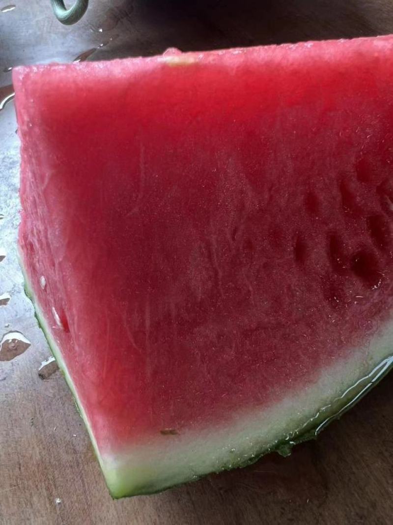 精品哦，，，西瓜上市了哦有需要的搞快点定哦，，，，，，