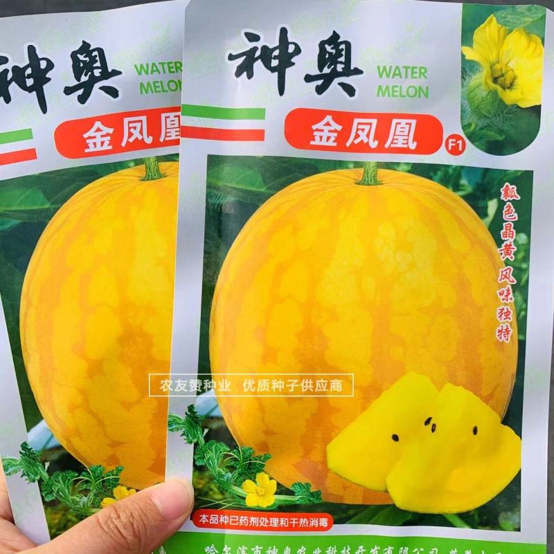 口感好入口即化冰淇淋皇冠西瓜种子黄皮黄瓤礼品西瓜种子皮薄