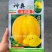 口感好入口即化冰淇淋皇冠西瓜种子黄皮黄瓤礼品西瓜种子皮薄