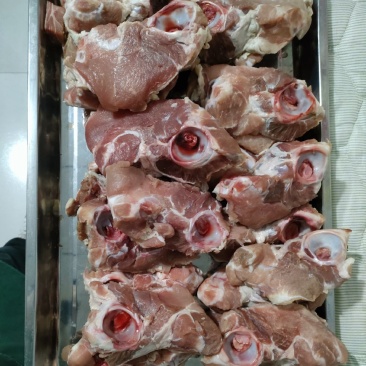 多肉三叉骨