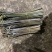贵州精品鲜蕨菜，已开始大量上市，全国发货，各大超市