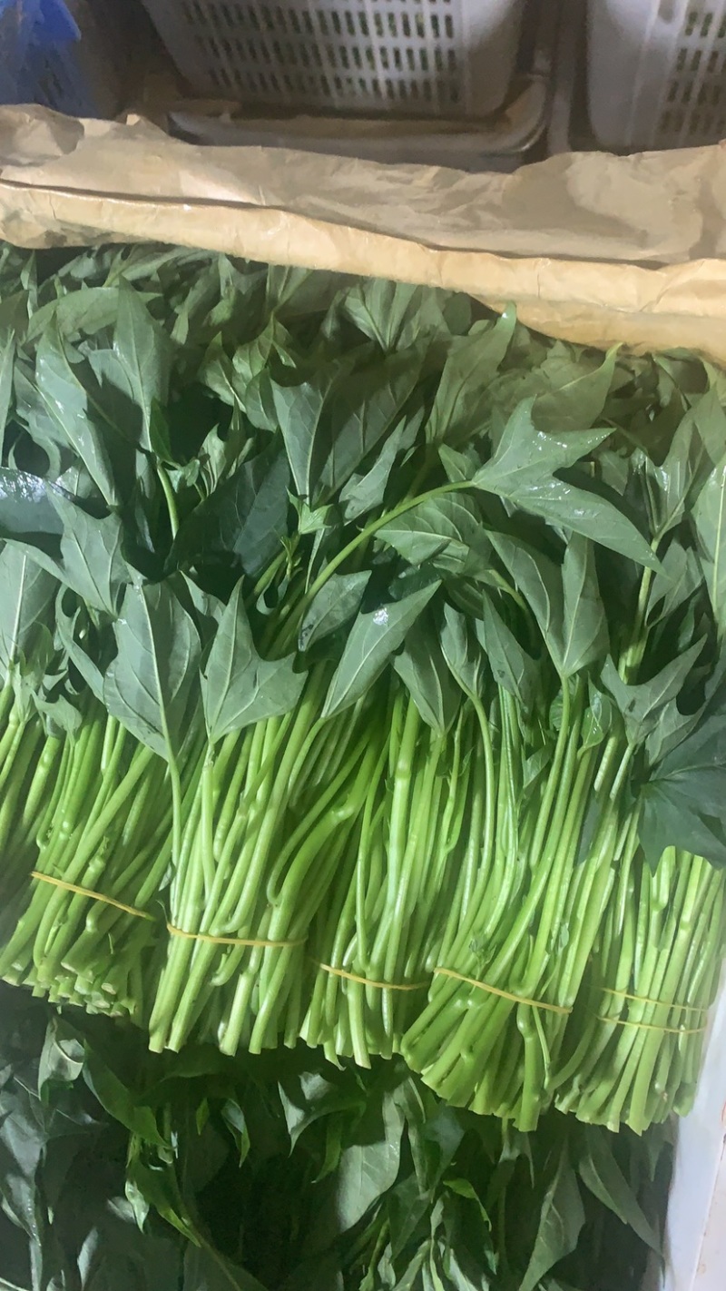 干水精品红薯叶