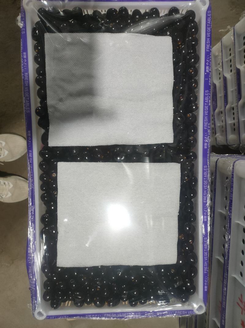 树葡萄