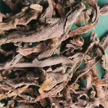 补碎骨