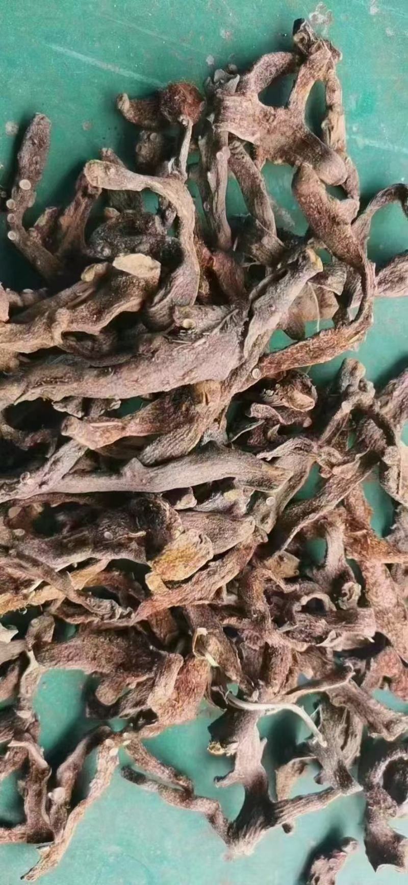 补碎骨