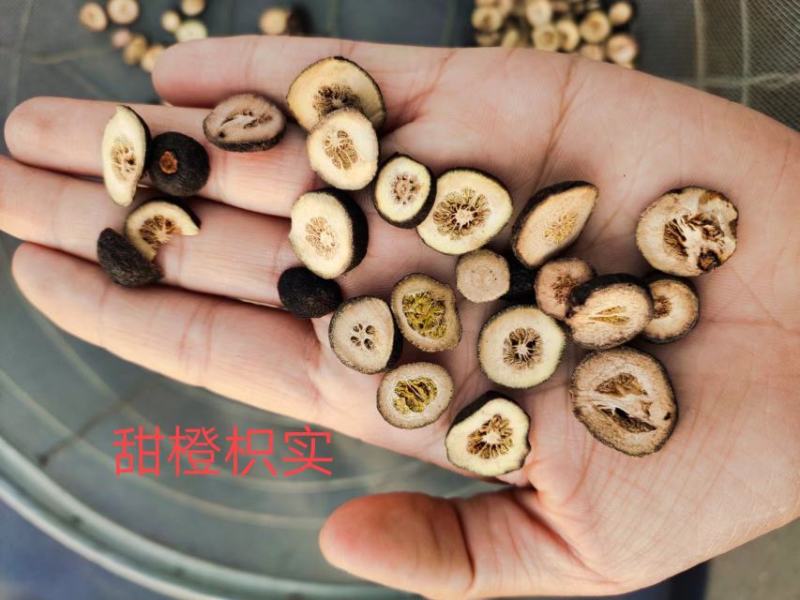 积实积壳