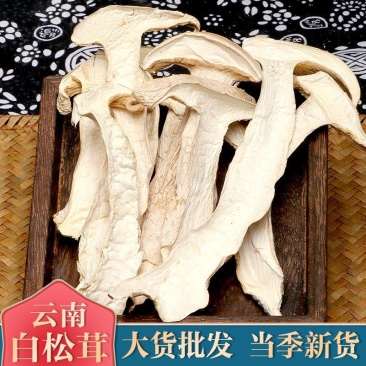 【白松茸】云南无硫白松茸500克袋装松茸干片冬松茸片包邮