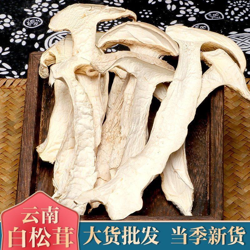 【白松茸】云南无硫白松茸500克袋装松茸干片冬松茸片包邮