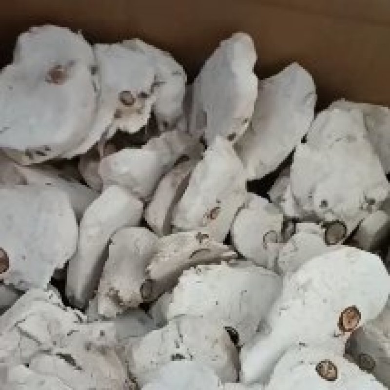 茯神木，一手货源，质量保证，新货无杂质，欢迎选购