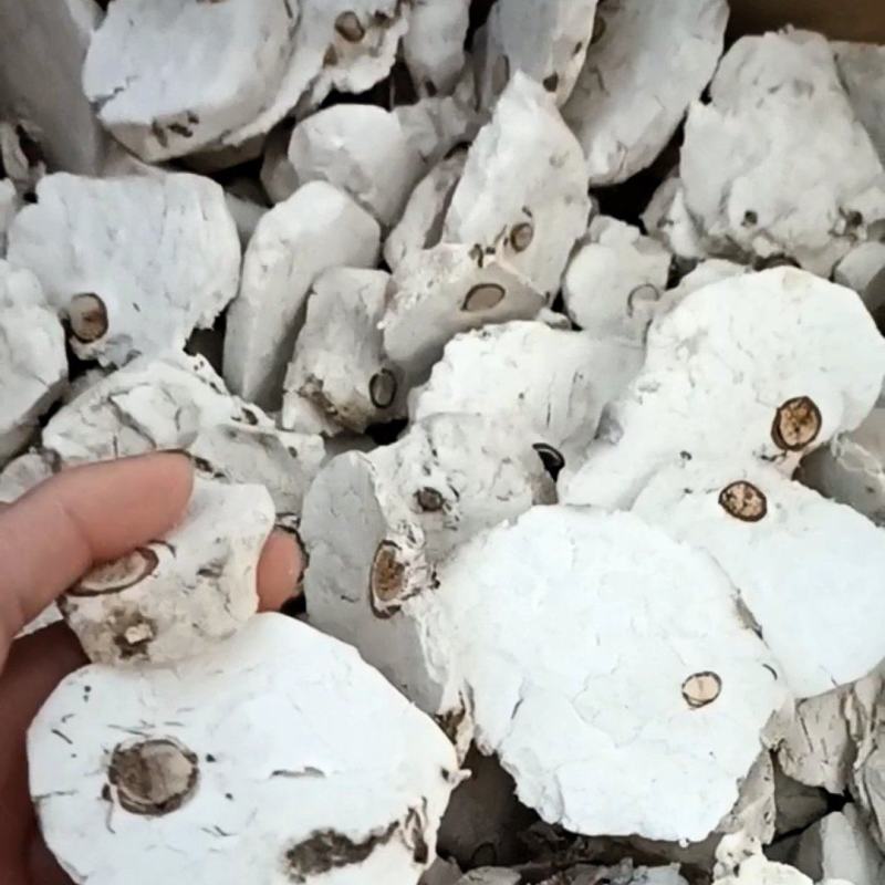 茯神木，一手货源，质量保证，新货无杂质，欢迎选购