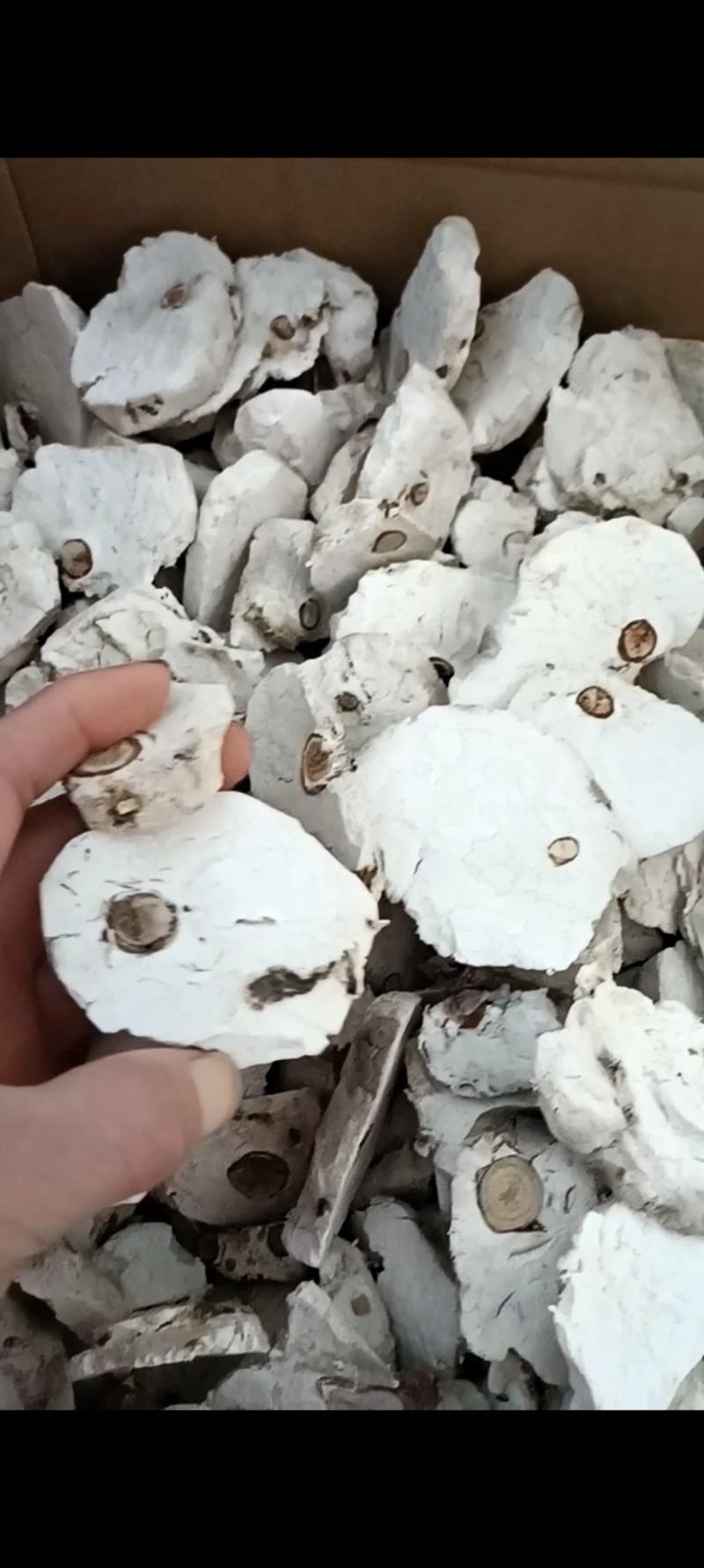 茯神木，一手货源，质量保证，新货无杂质，欢迎选购