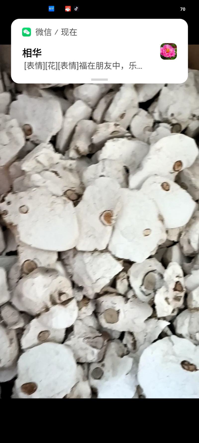 茯神木，一手货源，质量保证，新货无杂质，欢迎选购