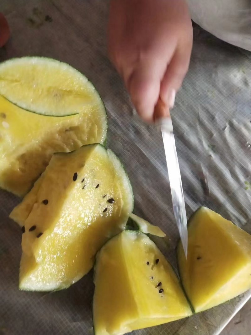 特小凤西瓜