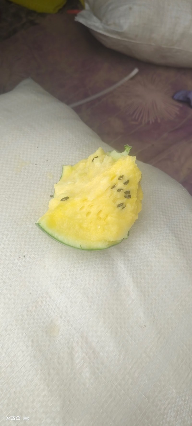 特小凤西瓜