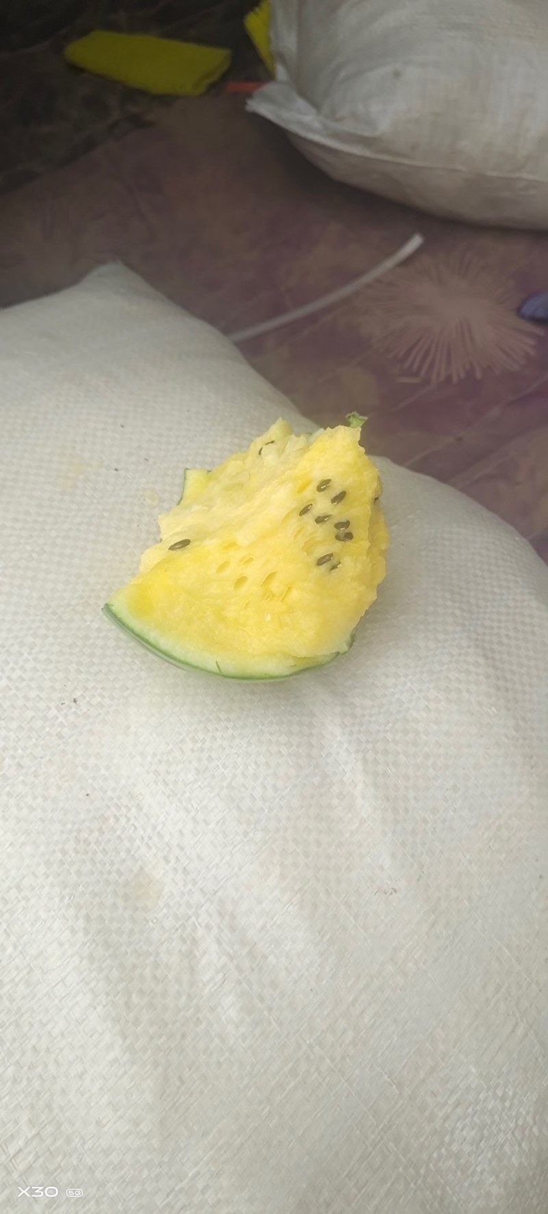 特小凤西瓜