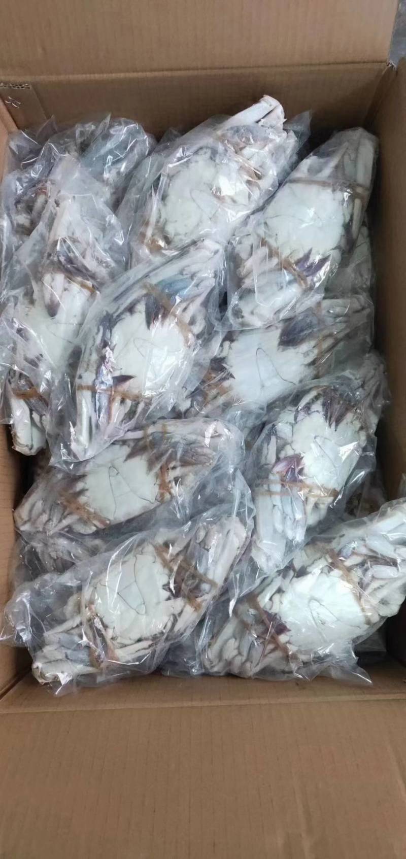 舟山梭子蟹，个头大，肉质饱满，支持全国发货，一手批发，工