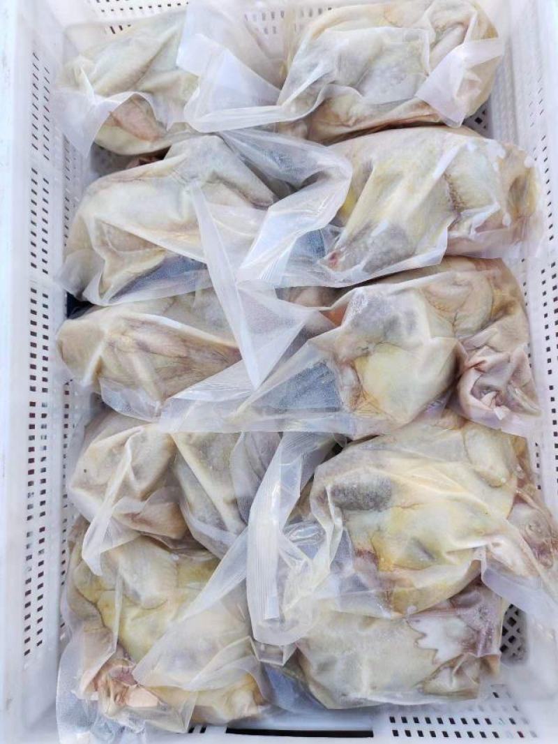 河南安阳滑县真空包装精品老母鸡白条鸡大量上市