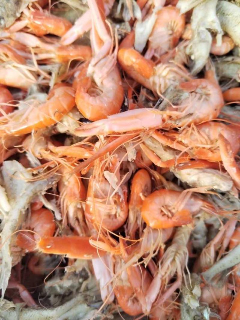 夹板虾，狗虾，大量上市2024年新货