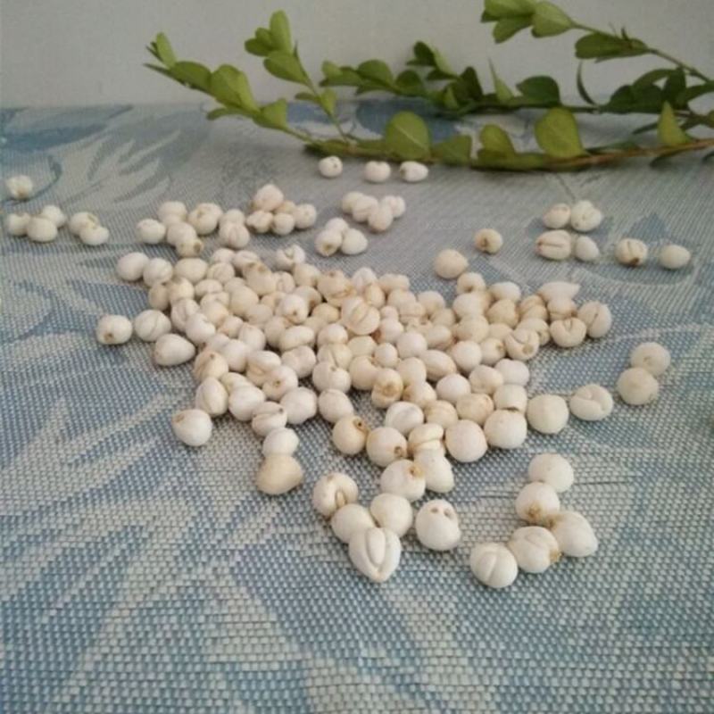 川贝母无硫川贝炖雪梨可做雪梨膏500g/起售川贝母四川产