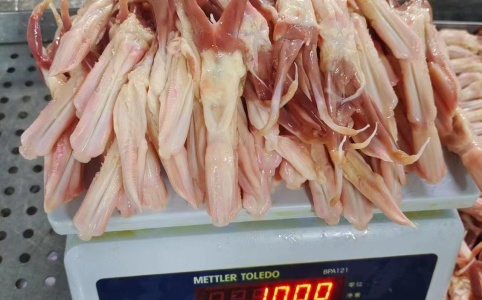 搜索 热搜词 当前位置 > 供应大厅 > 禽畜牧蛋肉 > 鸭副产品 > 鸭舌 共 110