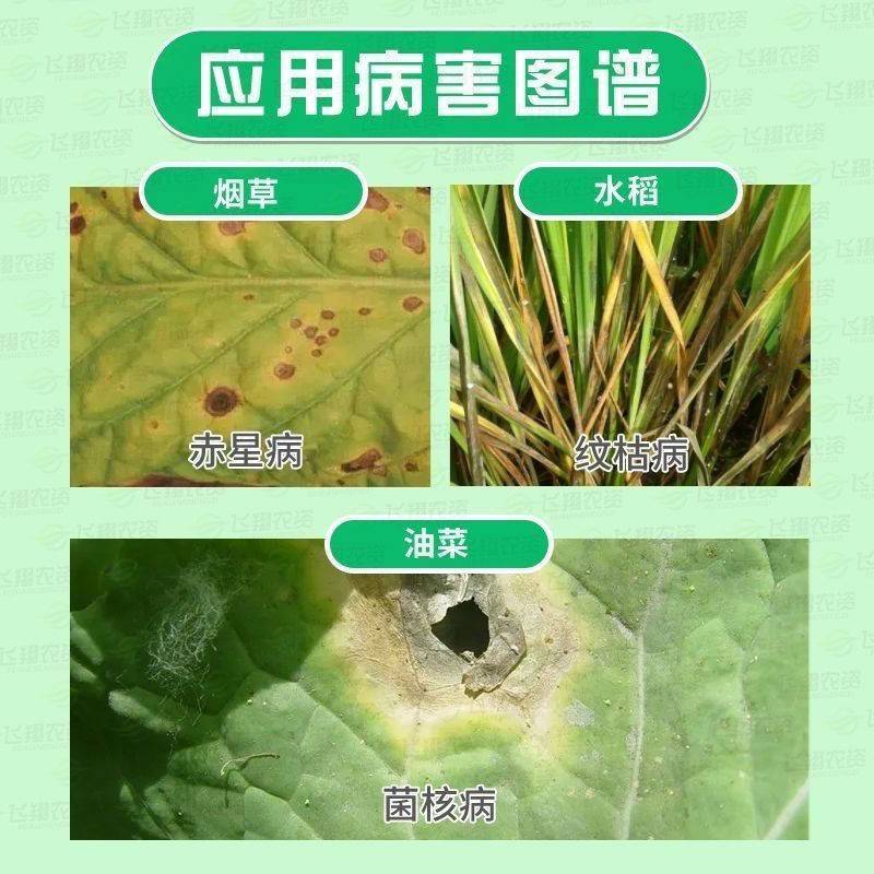斯佩斯40%菌核净烟草果蔬赤星病菌核病灰霉病农药杀菌剂