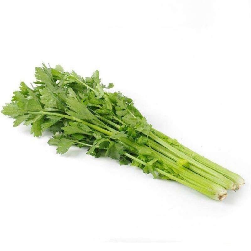 一手货源山东皇后香芹自产自销货源充足