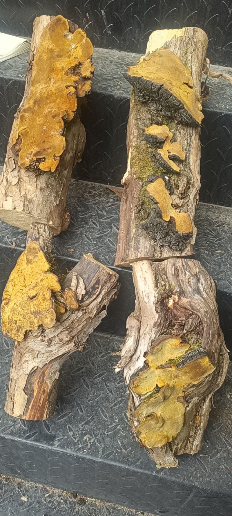 川西高原阿坝州好物