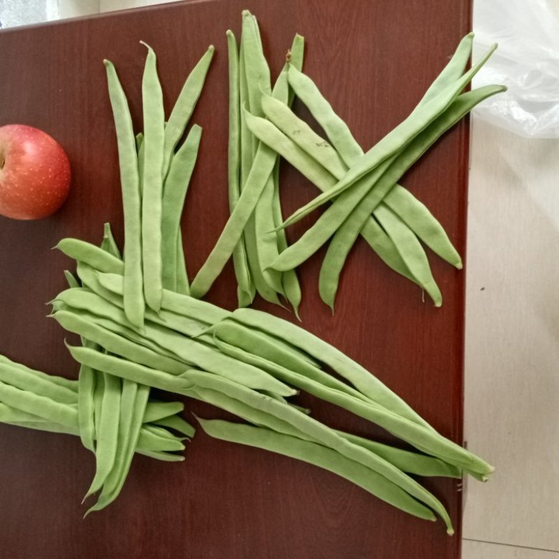 商量扁青芸豆