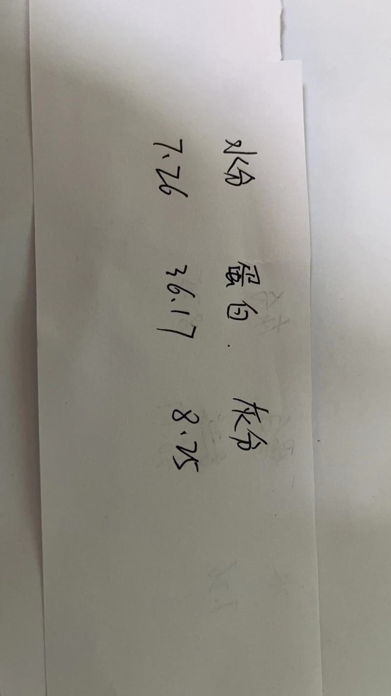 进口狗粮