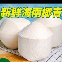 老少皆宜的，海南椰青值得入手