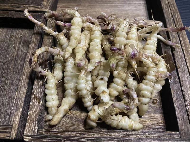 山东宝塔菜