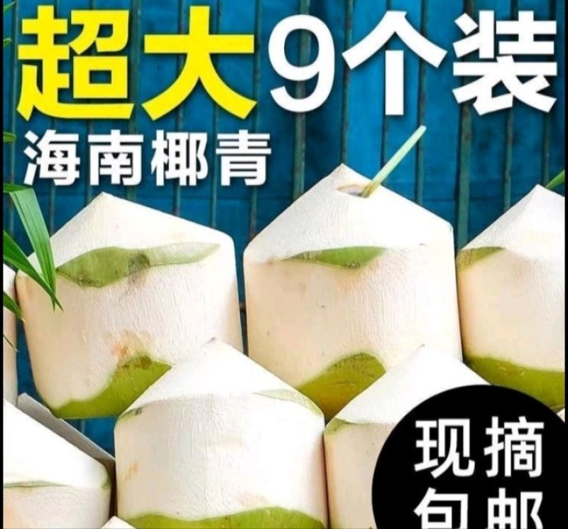 老少皆宜的，海南椰青值得入手