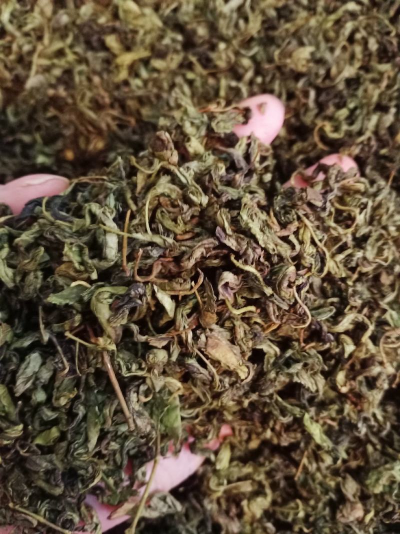 丁香叶茶丁香叶中药材花茶丁香叶茶新货质量保证！