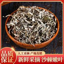 沙棘叶茶，沙棘沙棘叶中药材花茶沙棘叶茶新货质量保证！