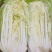 陕西新鲜大白菜蔬菜冬储白菜蔬菜周至自存蔬菜