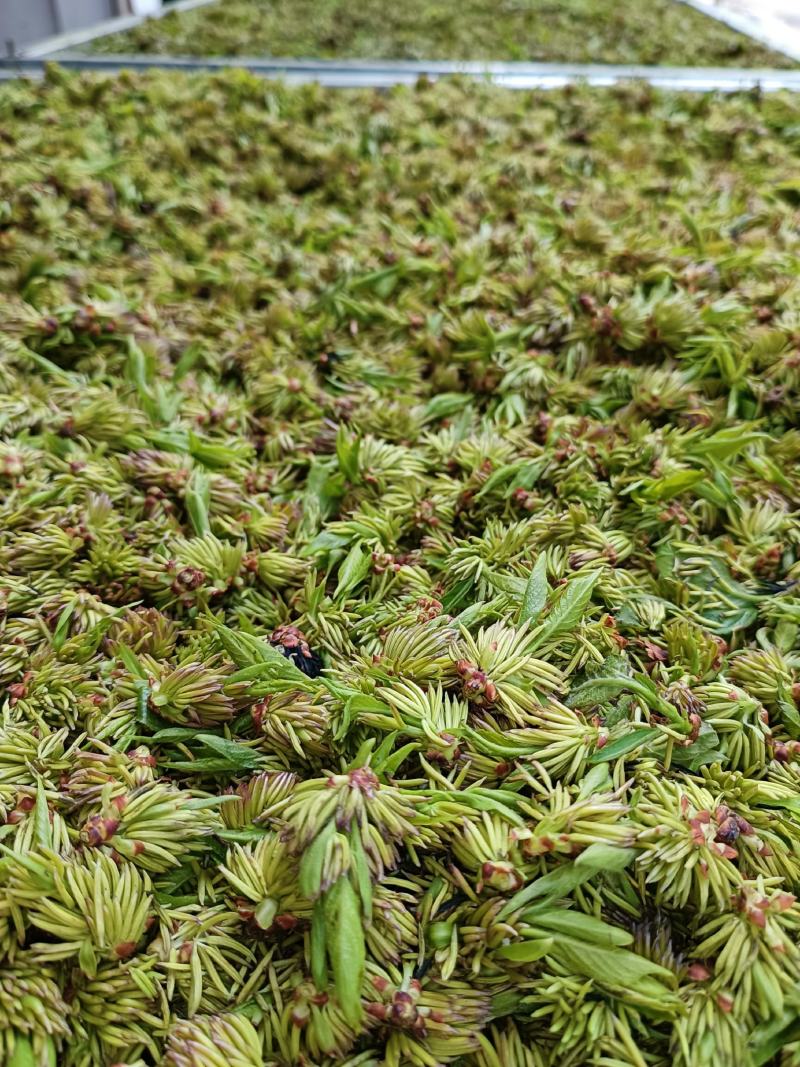 杜仲雄花茶杜仲花茶干货鲜货河南南阳产地直销