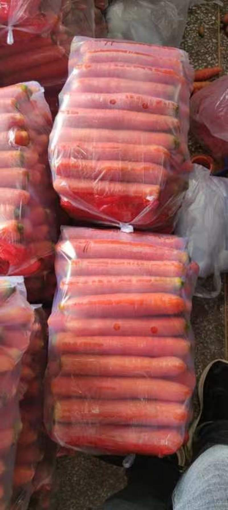 大量供应精品称杆红红萝卜，电商超市市场，货源充足欢迎订购