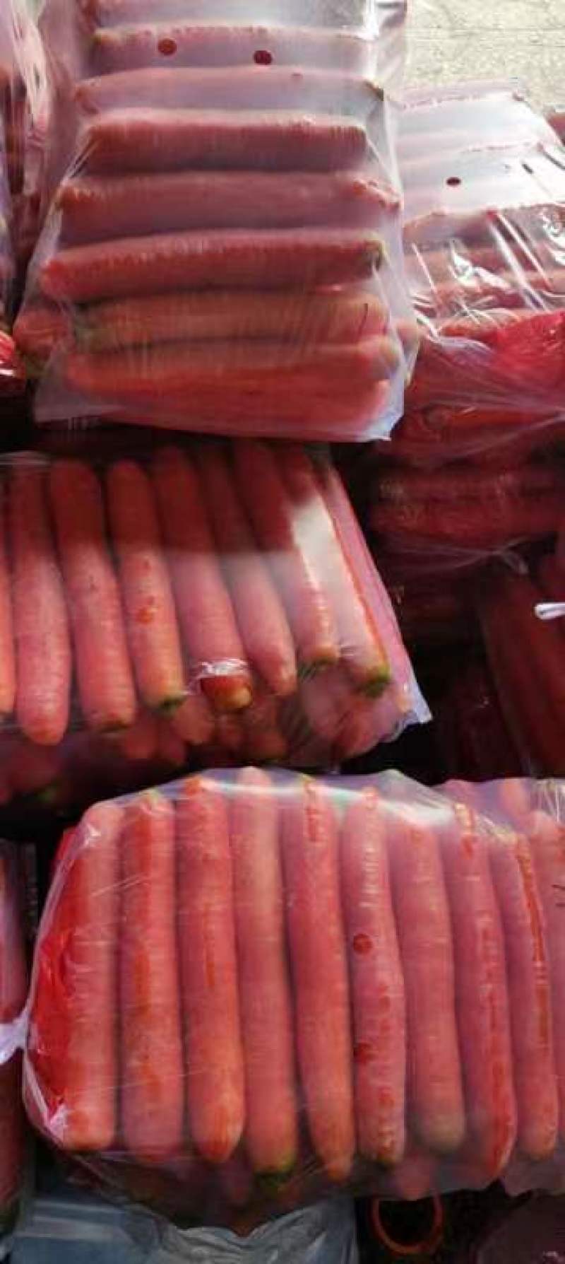 大量供应精品称杆红红萝卜，电商超市市场，货源充足欢迎订购