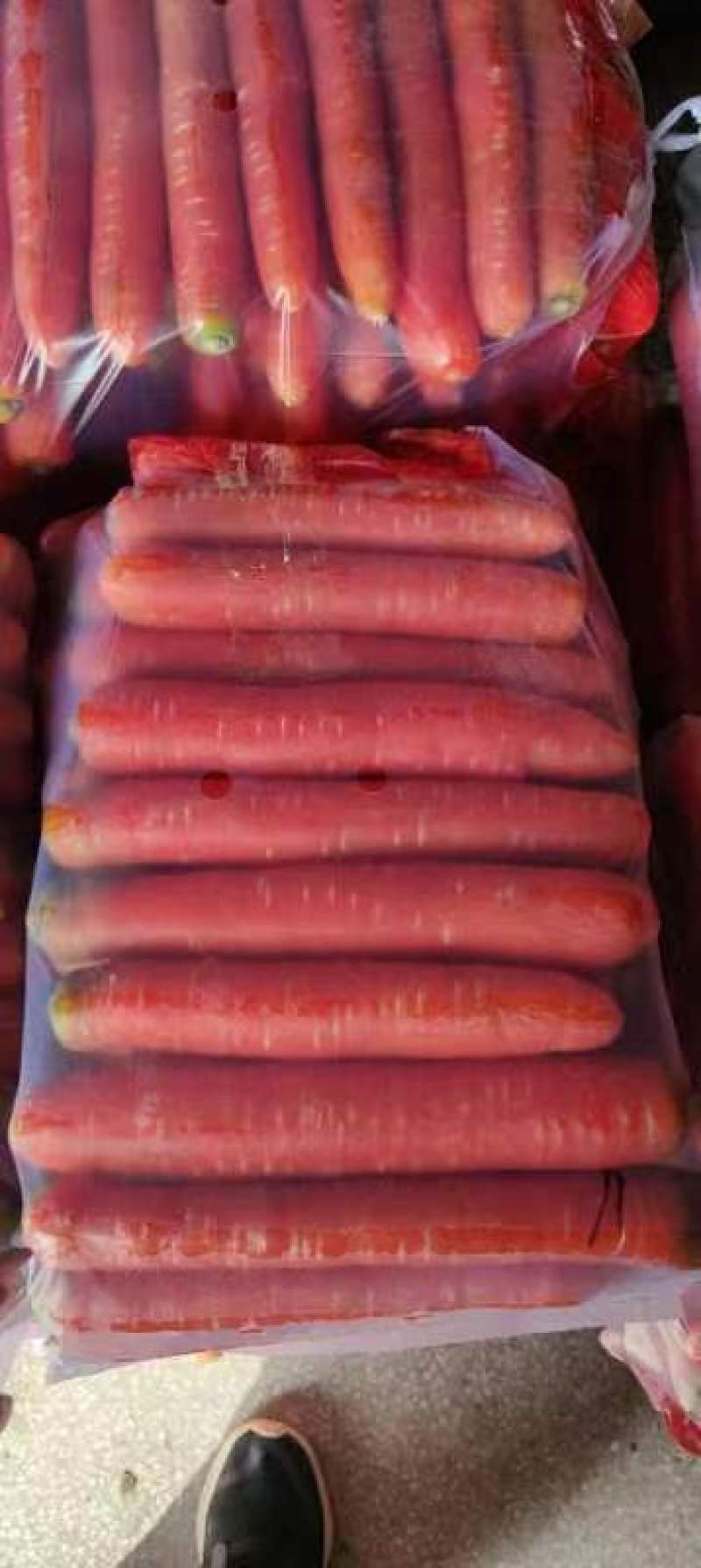 大量供应精品称杆红红萝卜，电商超市市场，货源充足欢迎订购