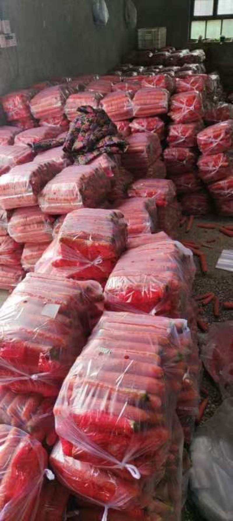 大量供应精品称杆红红萝卜，电商超市市场，货源充足欢迎订购