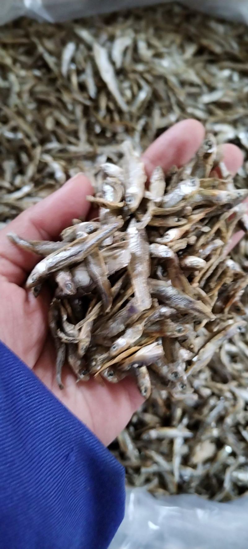 水煮小白刁