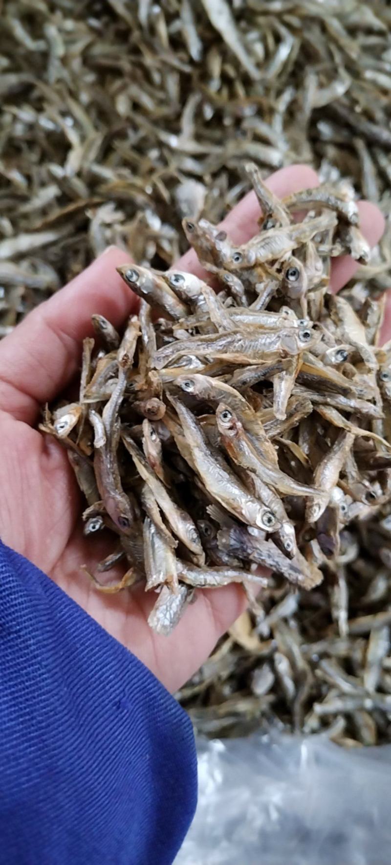 水煮小白刁